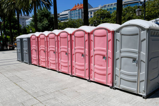 Best Short-Term Portable Toilet Rental  in Pleasant View, TN